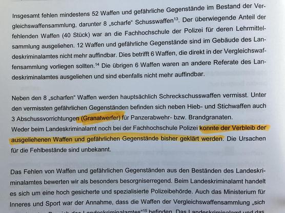 Ausriss aus dem Bericht des LRH, wo der Verlust angesprochen wird