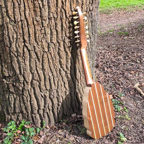 An Orpharion I built, resting against a tree in the spring sunshine (back view).