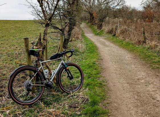 A silver gravel bike leaning against a post. There is a dirt track heading upwards, with bare hedges either side. The bike has tan sidewalled tyres, mudguards, a small bag on the top tube and a green, white and orange saddle, representing the Irish tricolour.