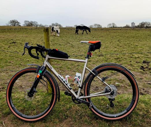 A silver gravel bike leaning against a post. There are two horses in the field in the background. One is black. The other is white with black flanks. The bike has tan sidewalled tyres, mudguards, a small bag on the top tube and a green, white and orange saddle, representing the Irish tricolour.