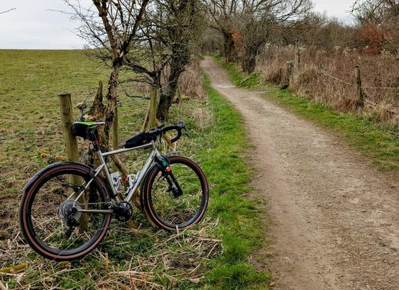 A silver gravel bike leaning against a post. There is a dirt track heading upwards, with bare hedges either side. The bike has tan sidewalled tyres, mudguards, a small bag on the top tube and a green, white and orange saddle, representing the Irish tricolour.
