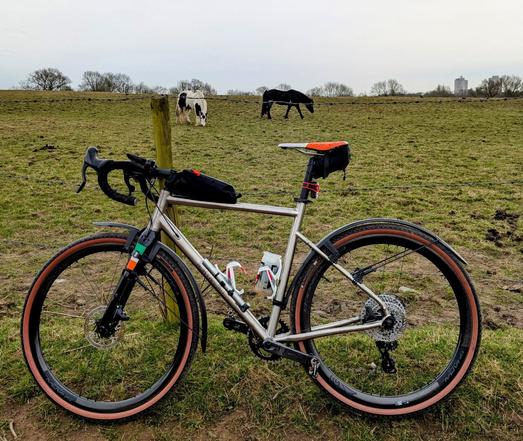 A silver gravel bike leaning against a post. There are two horses in the field in the background. One is black. The other is white with black flanks. The bike has tan sidewalled tyres, mudguards, a small bag on the top tube and a green, white and orange saddle, representing the Irish tricolour.