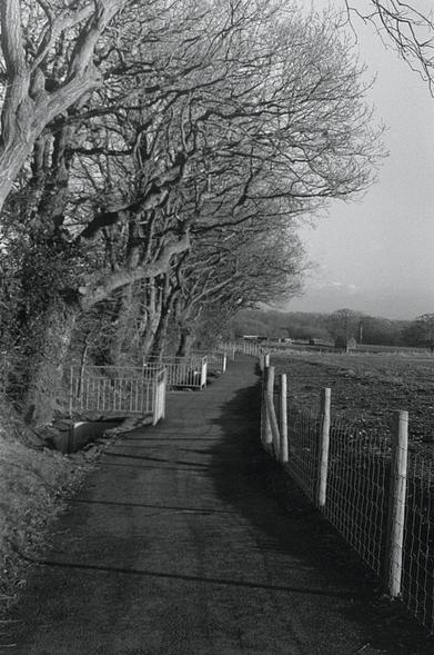 Fences around the passing places over the culvert