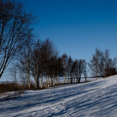 A view along a late winter seashore, with some trees lining the shore to the left and and a hill covered in snow to the right.