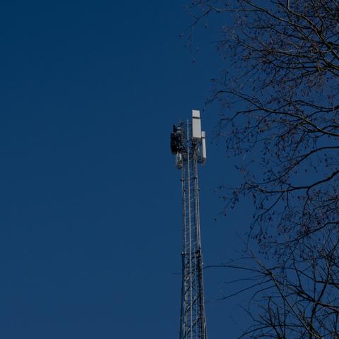 Cellular tower seen against deep blue sky, with a tree on the right.