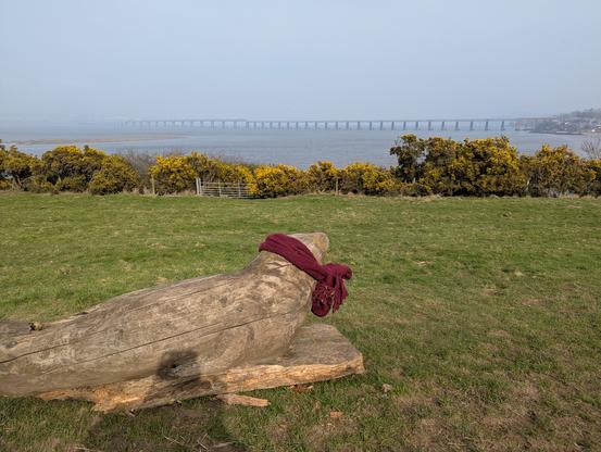 Picture of the River Tay rail bridge in the background with a wooden sculpture of a seal in the foreground that someone has tied a red scarf around.