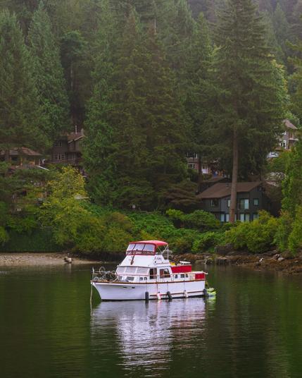 Leisure boat moored off of the shoreline at Deep Cove, North Vancouver with holiday homes peaking out through foggy pine tree woods foliage 
Captured by Komeil Karimi