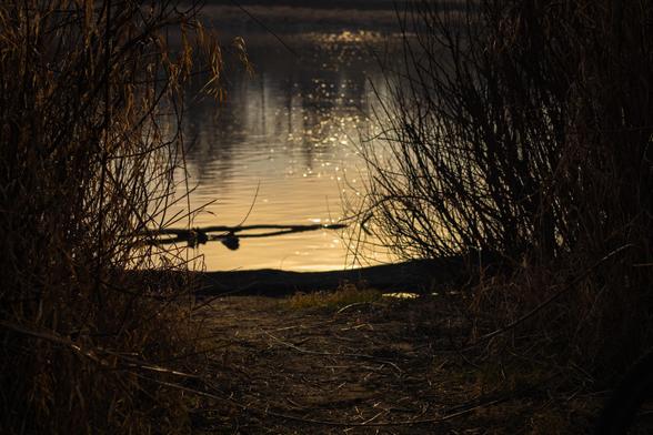 This image depicts a tranquil scene of a body of water, possibly a lake or river, with the sun reflecting on its surface. The water is surrounded by tall grass or reeds on either side, creating a secluded, natural frame. The lighting suggests it might be near sunset or sunrise, giving the scene a warm, golden hue.