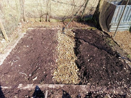 Fresh woodchips between two garden beds form a path to walk on.