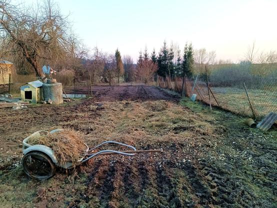 The garden from earlier posts. The area in front with churned up clay mud is now covered with a layer of woodchips and hay on top of that. A wheelbarrow with more hay and a pitchfork is in front.
