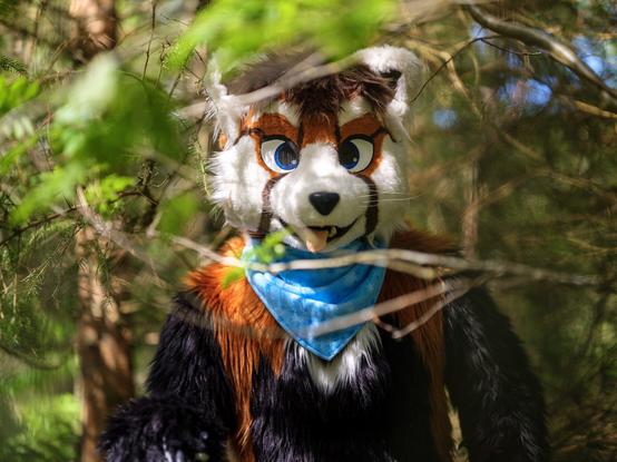 Portrait photo of me in my toony red panda fursuit standing in thick forest foliage. I look directly at the viewer, and grin widely, because I think they're cute.