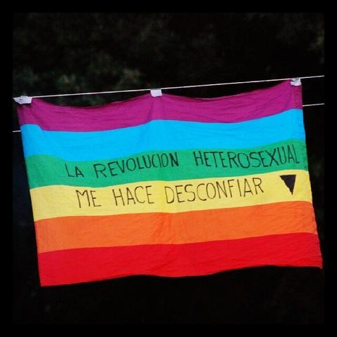 The rainbow flag with the message "The heterosexual revolution makes me distrustful"