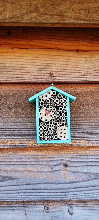 A close-up of a bee house for pollinators. The frame is fashioned similarly to a standard bird house and painted a light teal color. In the center are bamboo wheels with holes bored into them and bamboo straws which pollinating insects can fly into to rest or set up house. The hen house to which the bee house is nailed is a light honey colored wood.