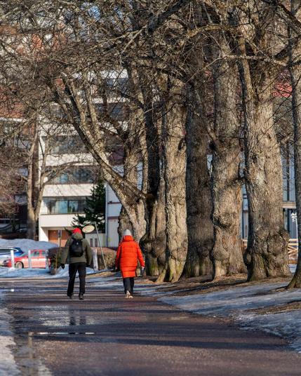 The image depicts two people walking down a path lined with large, leafless trees. One person is wearing a red coat, and the other is in dark clothing. There is snow on the ground, suggesting it's winter or early spring. In the background, buildings and parked cars can be seen.