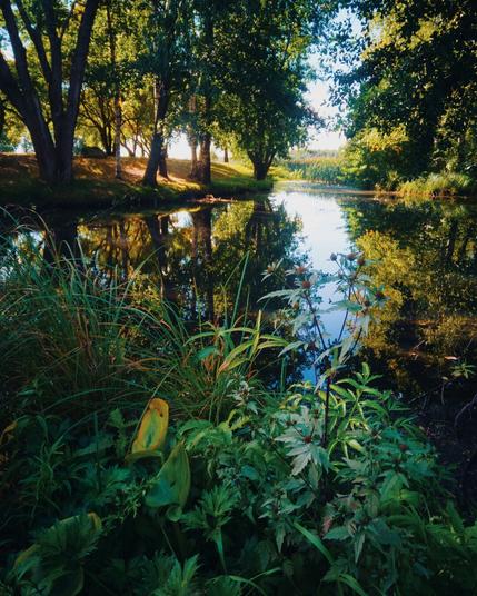 A dreamy summer lake scenery