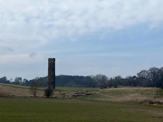 View of Cammo Tower over some fields. Woods in the background.