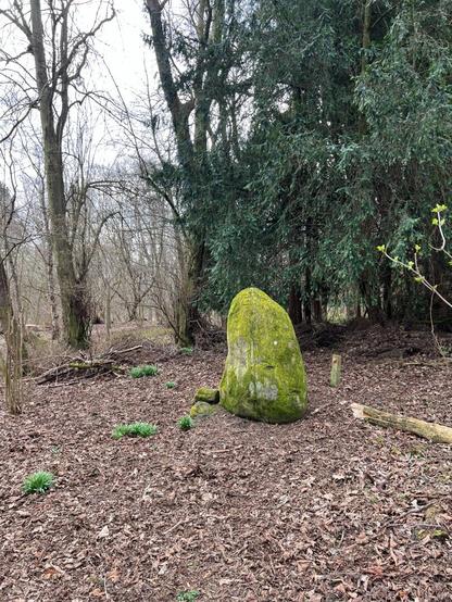 A standing stone in the woods.