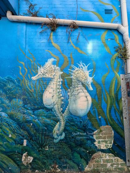 The image features a vibrant mural painted on a blue brick wall. The mural depicts two seahorses, specifically Shorthead Seahorses (Hippocampus breviceps), swimming among green seaweed. The seahorses are white with dark spots and have distinctive spiky crowns. The background is a deep blue, simulating an underwater environment, with various shades of green seaweed and aquatic plants. The mural is detailed, with textures that mimic the appearance of marine life. The text "Shorthead Seahorses Hippocampus breviceps" is written in white at the bottom of the mural. The wall shows signs of wear, with some areas of paint peeling and exposed bricks. A white pipe runs along the top of the wall, and there is a vent near the top right corner.

Provided by @altbot