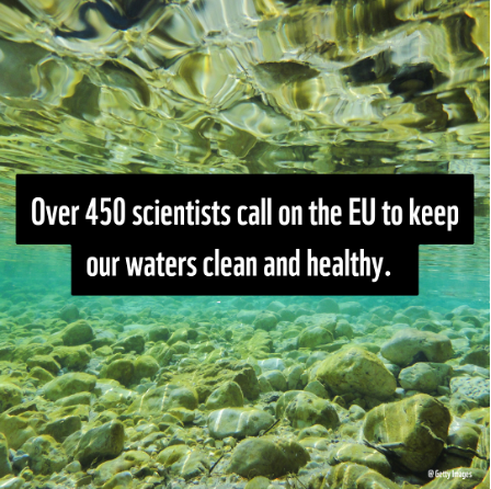 Over 450 scientists call on the EU to keep our waters clean and healthy