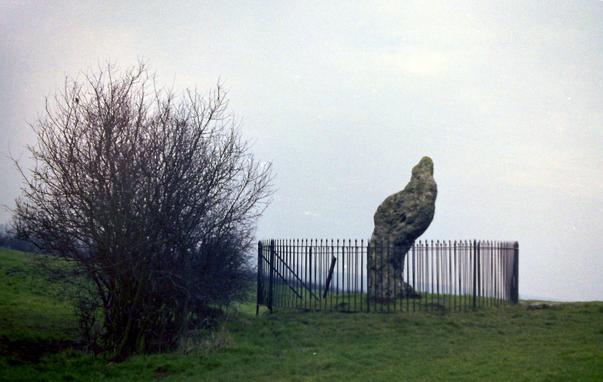 A megalith, surrounded by iron railings, next to an elder tree.