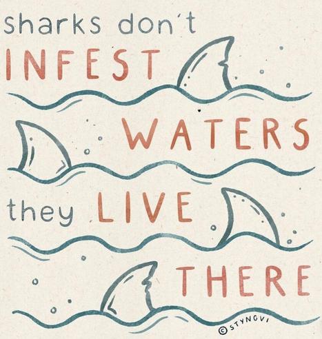 Drawing by illustrator styngvi, beige background with 4 rows of blue waves, bubbles and shark fins.
Red letters say 'sharks don't infest waters, they live there'