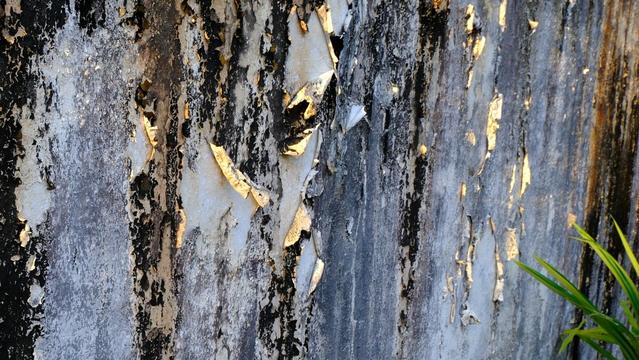 A wall with black, grey and rust-coloured streaks and peeling paint, illuminated by late afternoon sunwhich produces warm highlights in the peeling paint.