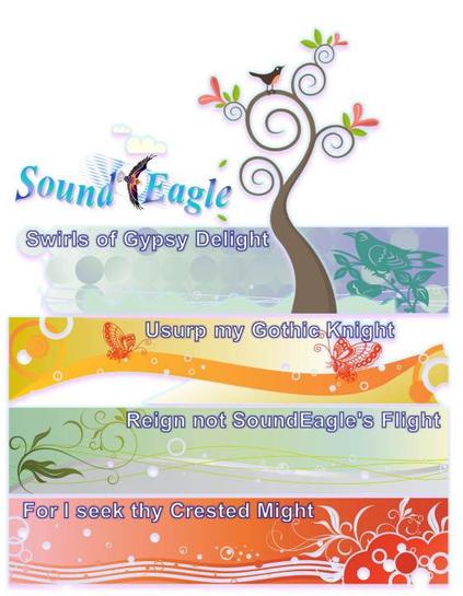 SoundEagle in Art and Poetry