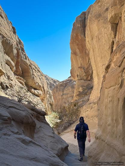 A person is seen walking through a narrow canyon with towering, rugged rock walls on either side. The canyon walls feature layers and textures formed by natural erosion, showcasing light brown and beige hues. Above, the sky is a bright, clear blue, contrasting vividly with the earthy tones of the rock. The individual in the scene is dressed in a dark outfit, wearing a cap and carrying a backpack, and is walking away from the camera, moving deeper into the canyon.