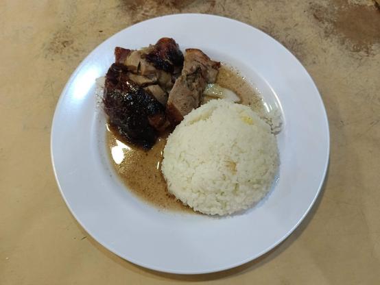 A plate of roasted duck with sauce and rice