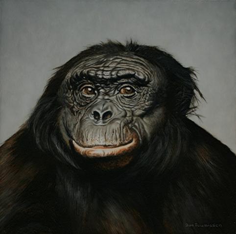 Масляный портрет Канзи в коричнево-серых тонах. Перерисовка фотографии 2008 года. Канзи смотрит почти что прямо в камеру, чуть правее, чем прямо. // An oil portrait of Kanzi in brown and gray tones. A repaint of a 2008 photograph. Kanzi is looking almost straight at the camera, slightly to the right of the camera. // 2008/2010 © unknown photographer and Jan Teunissen