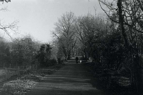 This used to be a pain to walk along after a rainy day, but now it's accessible to everyone. Walkers, cyclists and disabled folk on their chariots.