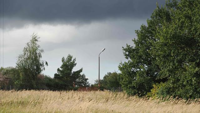 The image shows a grassy field with tall grass in the foreground. There are trees and shrubs in the background, along with a single streetlamp. The sky above is overcast with dark clouds, suggesting impending rain or a storm.