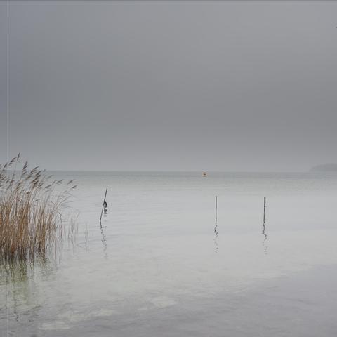The image shows a calm, overcast seascape with a gray sky. In the foreground, there are tall grasses or reeds on the left side. Several poles are sticking out of the water, and there is a buoy visible in the distance. The overall mood is tranquil and subdued.