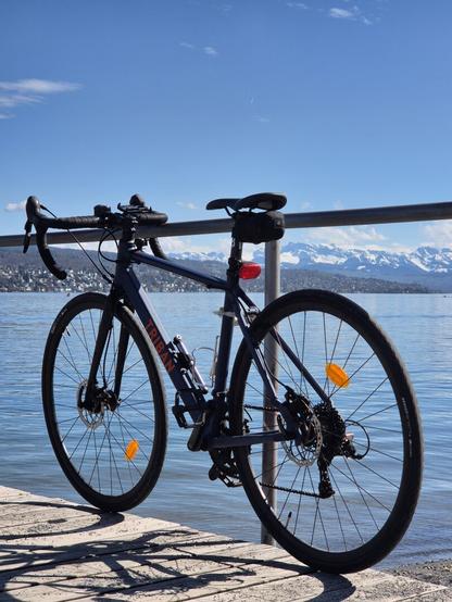 Fotografía de una bicicleta atada a una barandilla junto a la orilla del lago de Zúrich, al fondo se ven los Alpes cubiertos de nieve. Versión original