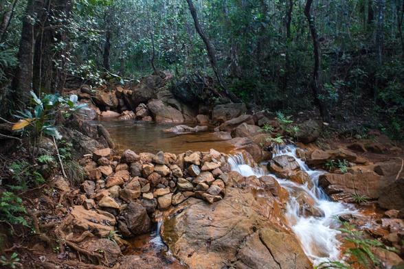 A stream in Prony