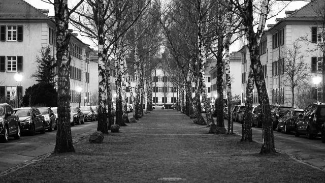 50mm Schwarzweiß-Bild