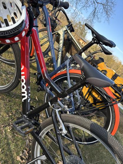 Drei Fahrräder. Im Vordergrund ein rot-schwarzes Kinderfahrrad, an dessen Lenker ein roter Fahrradhelm hängt. Hinter dem Kinderrad steht ein blau-orangenes Fahrrad mit gelber Packtasche am Gepäckträger. Neben diesen Rädern steht ein Gravelbike, dessen Farbe an helles Olivgrün erinnert. Die Räder sind vor einer Holzbank geparkt, stehen auf einer Wiese, neben einem Teich. Der Himmel ist frühlingshaft blau.