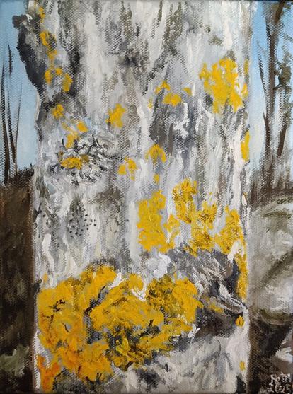 An oil painting of the trunk of an aspen (populus tremula).
White and gray texture with yellow lichen (xanthoria parietina).