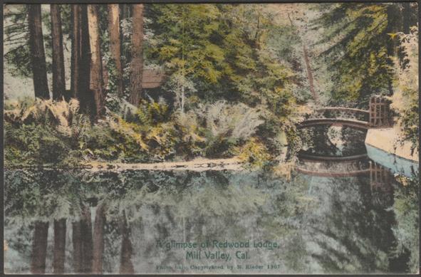 Printed hand-tinted postcard showing a view of Redwood Lodge at Mill Valley in California, USA.
Published by M. Rieder for William Reimann, Mill Valley CA, No 24164, printed in Germany, 1907.
Postally unused.
Very good condition, with very slight corner bumps and some foxing to edges of back.