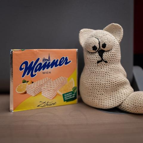 Die Katze beantwortet die Frage abschließend: Ja zu Zitronenschnitten