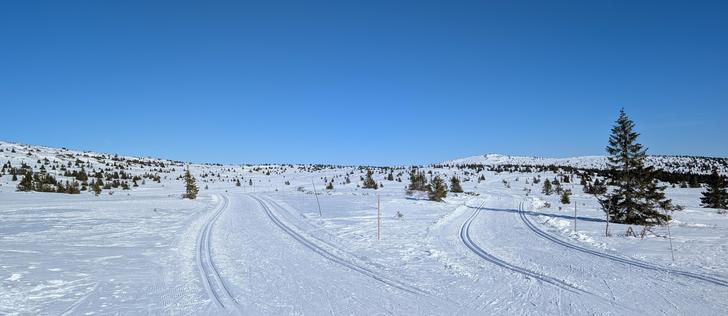 Two ski tracks diverging on a snowy mountain