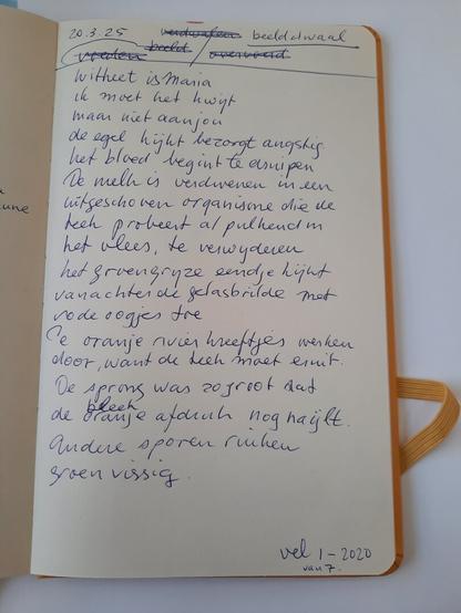 Text written after looking at the shapes in sheet 1