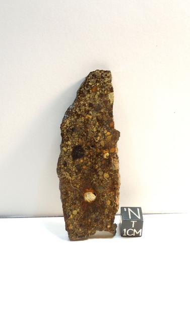Meteorite slice with prolific chondrules.