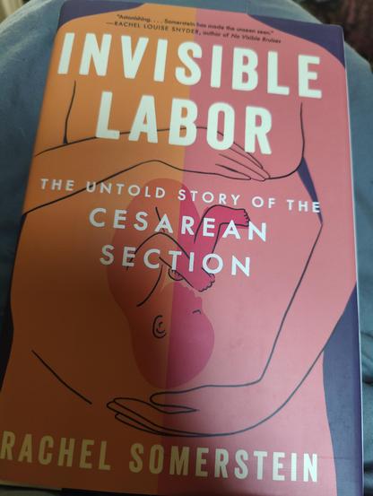 Cover of book Invisible Labor: The Untold Story of the Cesarean Section by Rachel Somerstein. Cover has illustration of pregnant body with baby showing.