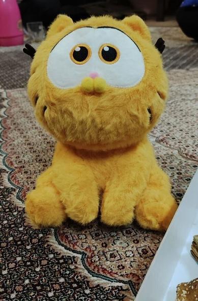 Garfield