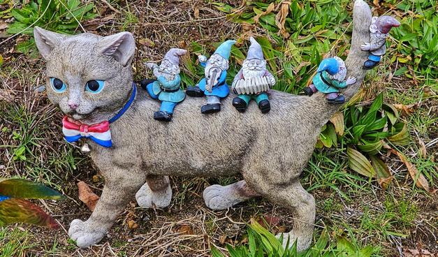 A yard statue the of a gray cat with blue eyes walking, and little bearded gnomes dressed in blue riding on its back
 Two are climbing the cat's upright tail. Three are on its back, playing a violin, a flute and an accordion.