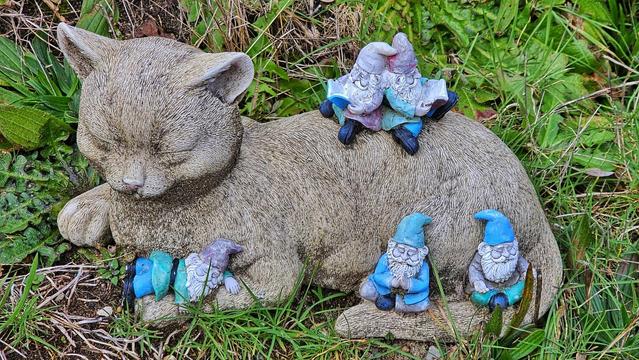 Yard art: a statuette of a gray cat snoozing, with bearded gnomes dressed in blue on it.  One is sleeping on the cat's leg, two are seated on its tail meditating, and two are on its back reading books.