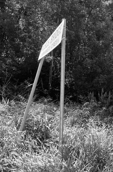 Careless drivers knocking down signage
Roses Rd. , Roses Bridge, Unnamed Creek, Bellingen