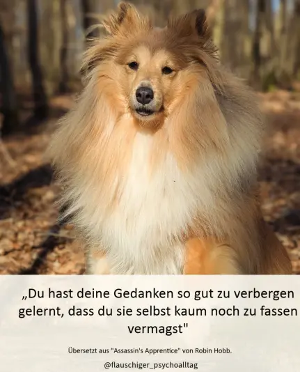 Über dem Foto steht ein Zitat: "Du hast deine Gedanken so gut zu verbergen gelernt, dass du sie selbst kaum noch zu fassen vermagst." Übersetzte aus Assassin's Apprentice von Robin Hobb.