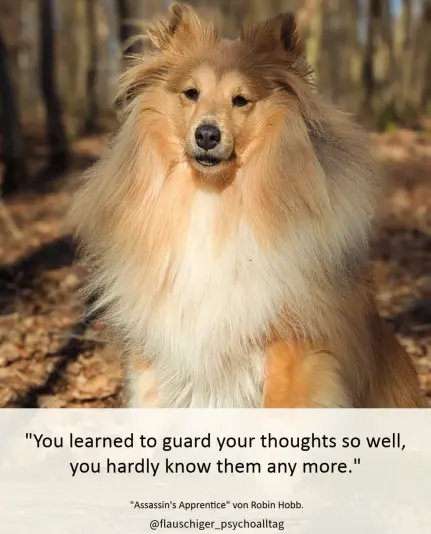 "You learned to guard your thoughts so well, you hardly know them any more." Assassin's Apprentice von Robin Hobb